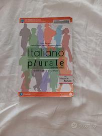 libro di grammatica Italiano plurale 