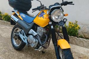 Honda SLR 650 single