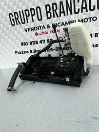 Radiatore completo Suzuki Inazuma 250