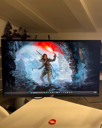 Montior Asus pg248qp [COMPLETO]