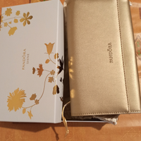 Pandora Shine clutch dorata NUOVA MAI USATA