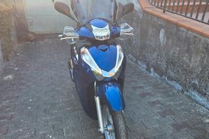  sh 300 abs