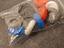 Immagine 3