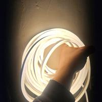 Striscia LED Neon Flessibile 10m