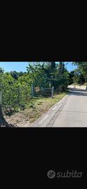 Terreno a Colle Renazzo Pescara