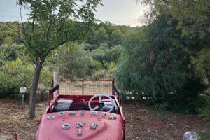 Fiat Campagnola AR 59 Anno 1958 1.9 diesel