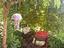 Immagine 11