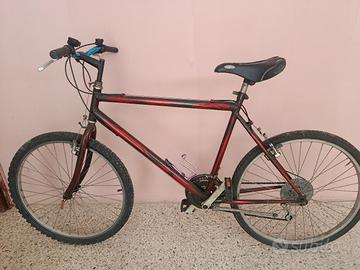 biciclette 
