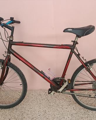 biciclette 