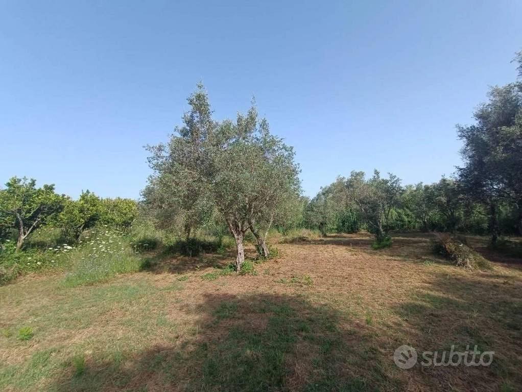 Immobile in asta di 4805 m² a Feroleto della Chies - Vista 4