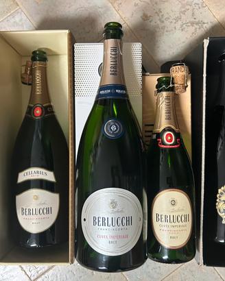 Bottiglie VUOTE cantina Berlucchi