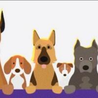 Dog Walker - Passeggiate per il tuo cane?