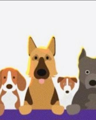 Dog Walker - Passeggiate per il tuo cane?