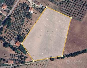 Terreno di 23000 m² a Raviscanina
