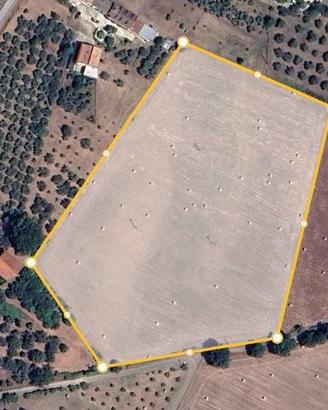 Terreno di 23000 m² a Raviscanina