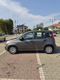 panda perfetta