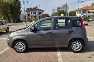 panda perfetta