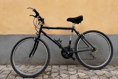 Mountain bike Longway 26’ - perfettamente funz
