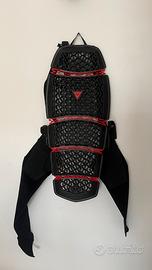 Paraschiena Dainese PRO ARMOR 2.0