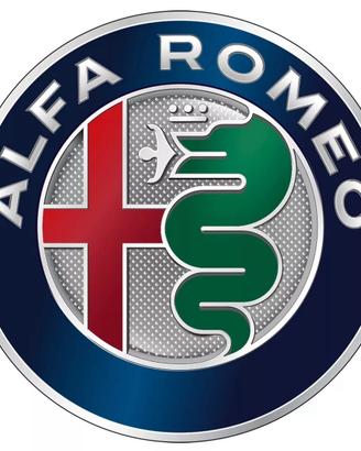 Alfa romeo duetto da restauro targa VR (ricambi)