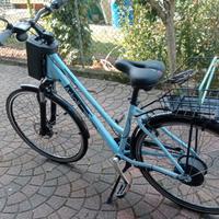 bicicletta  a pedalata assistita 