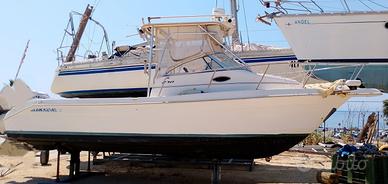 Cobia 270 WA macchina da pesca