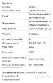 bici elettrica 
