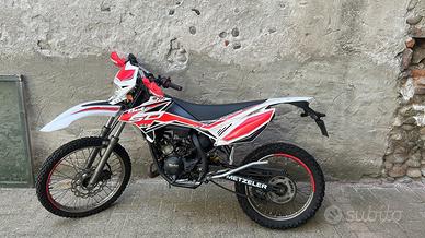beta rr50 2019