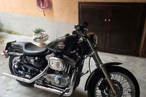 Harley Davidson883 2001