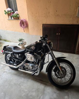 Harley Davidson883 2001