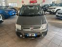 fiat-panda-1-2-dynamic