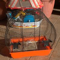 Gabbietta Metallo Canarini Pappagallo Cocorite