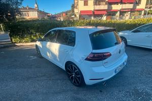 Golf GTI Performance Manuale
