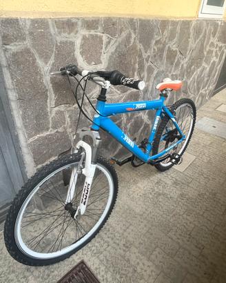 Bicicletta 26x190