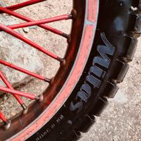 gomme ant e post hm 50 2009 semitasselate 