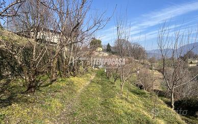 TERRENO AGRICOLO CON VISTA PANORAMICA