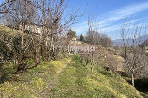 TERRENO AGRICOLO CON VISTA PANORAMICA