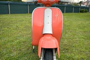 Velocifero 50cc