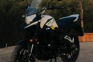 Motron X-Nord 125 - 2024