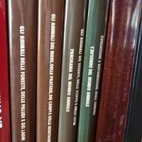 Grande Enciclopedia del Regno animale (4 volumi)