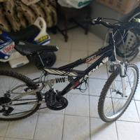 Bici bambino
