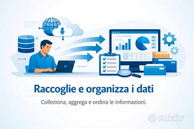 Data Analyst junior