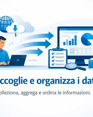 Data Analyst junior