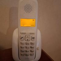 Cordless