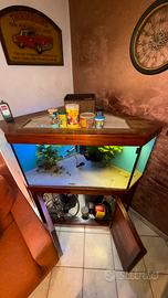 Acquario