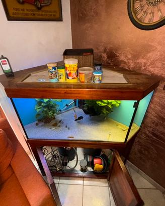 Acquario