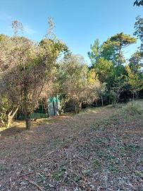 Terreno Montemarcello