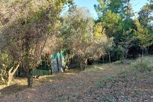 Terreno Montemarcello