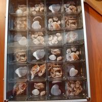 Vetrina per collezionisti Melinera