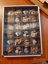 Vetrina per collezionisti Melinera